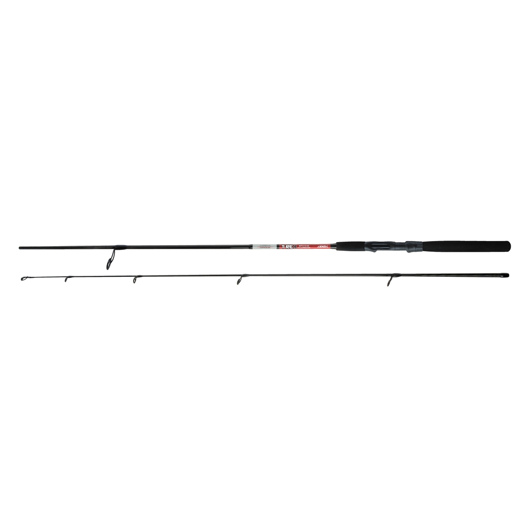 T-Rex Allround 10-30g.2,70 m