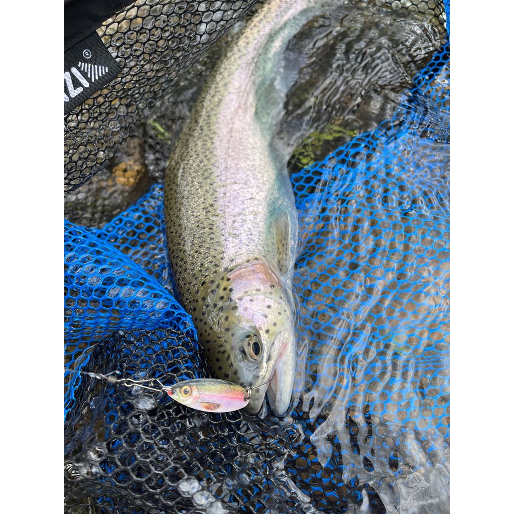 Trout Spoon 3D, Col 1, 3g