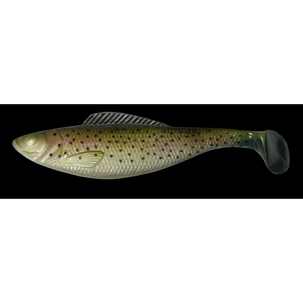 Shad Live, 2 St/SB, Brown-Trou