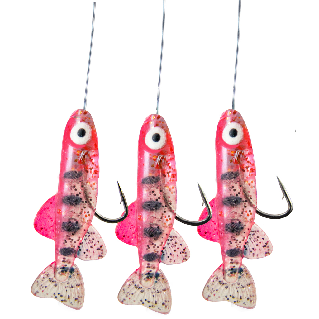 Hegene Mit Fischli's  Color  P