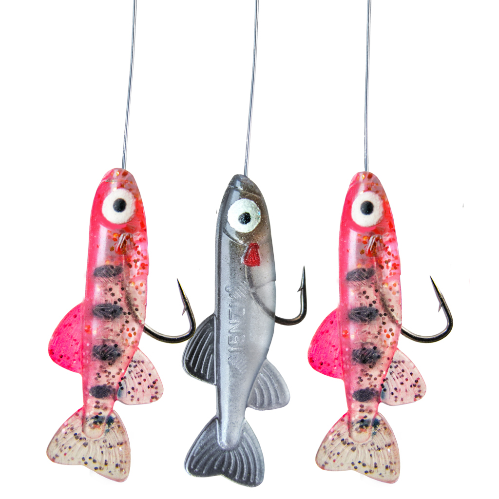 Hegene Mit Fischli's  Color R