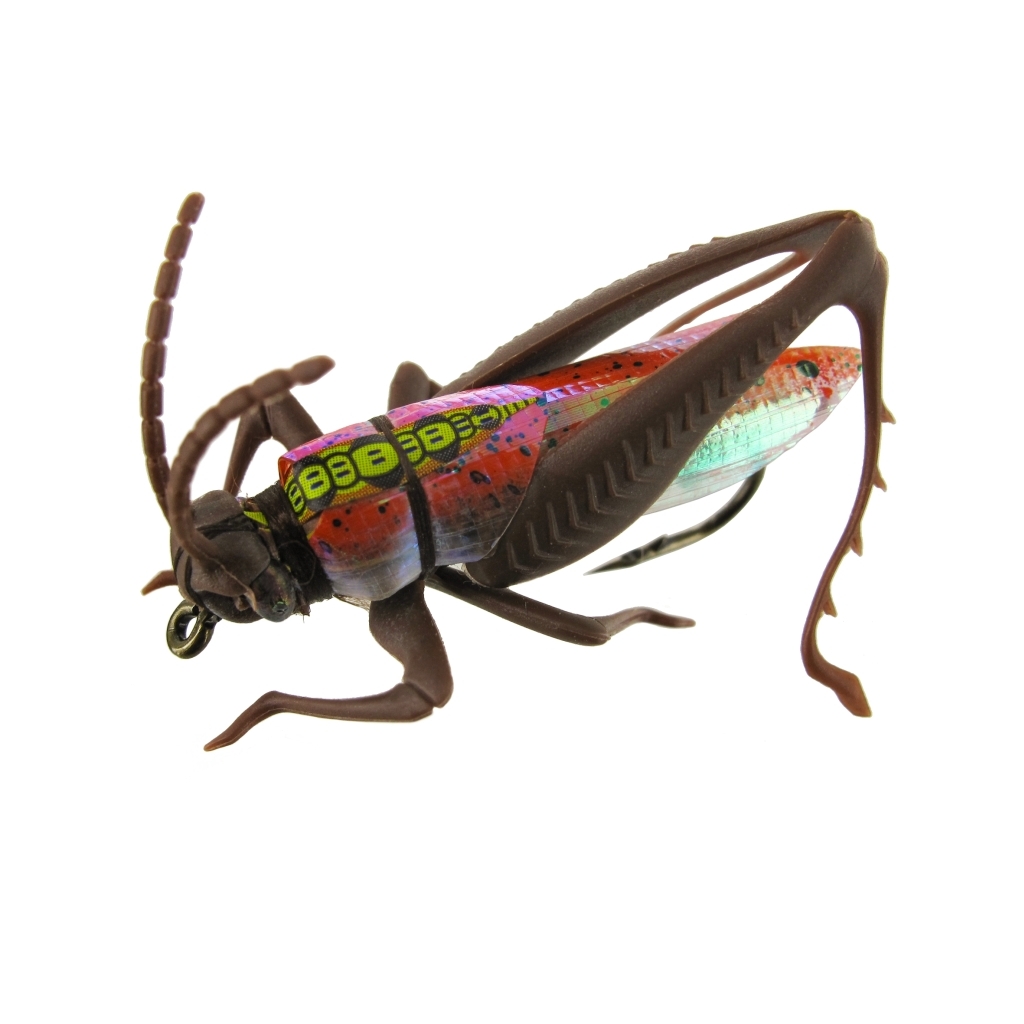 Insekten-Imitat XL 4 St./SB