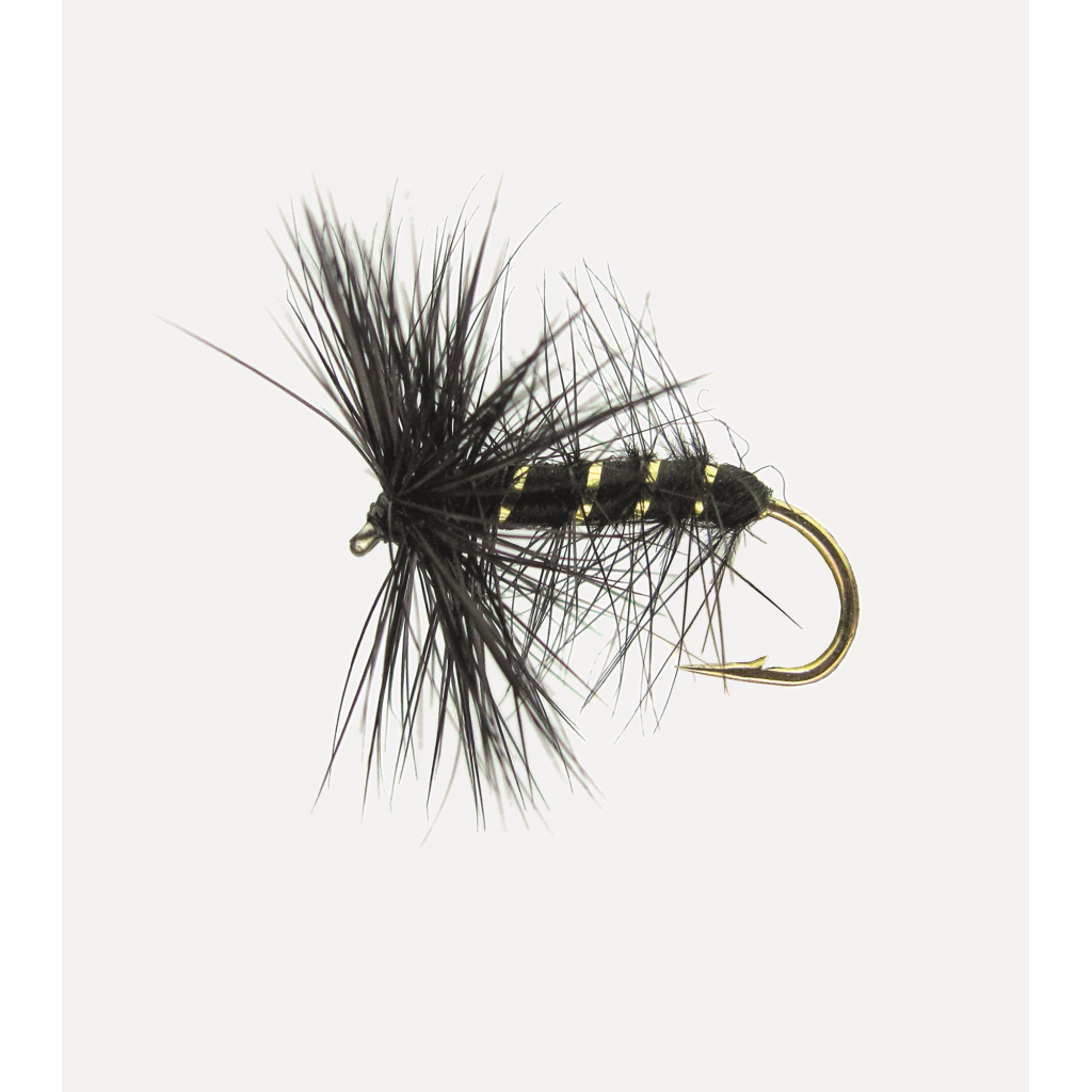 Trockenfl. 'black Palmer'