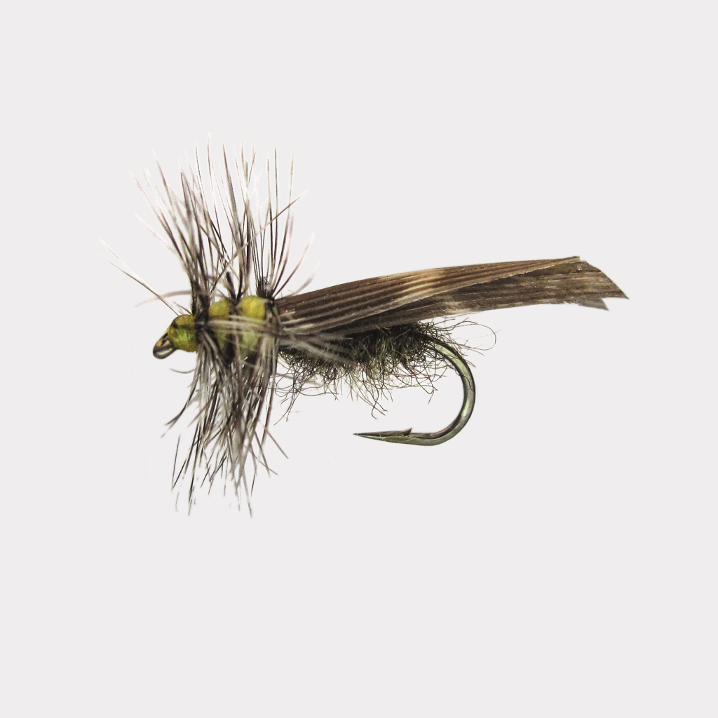 Trockenfl. 'grey Sedge'