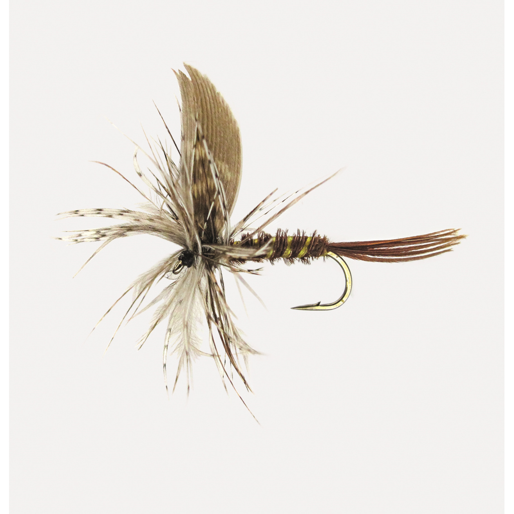 Trockenfl. 'march Brown Male'