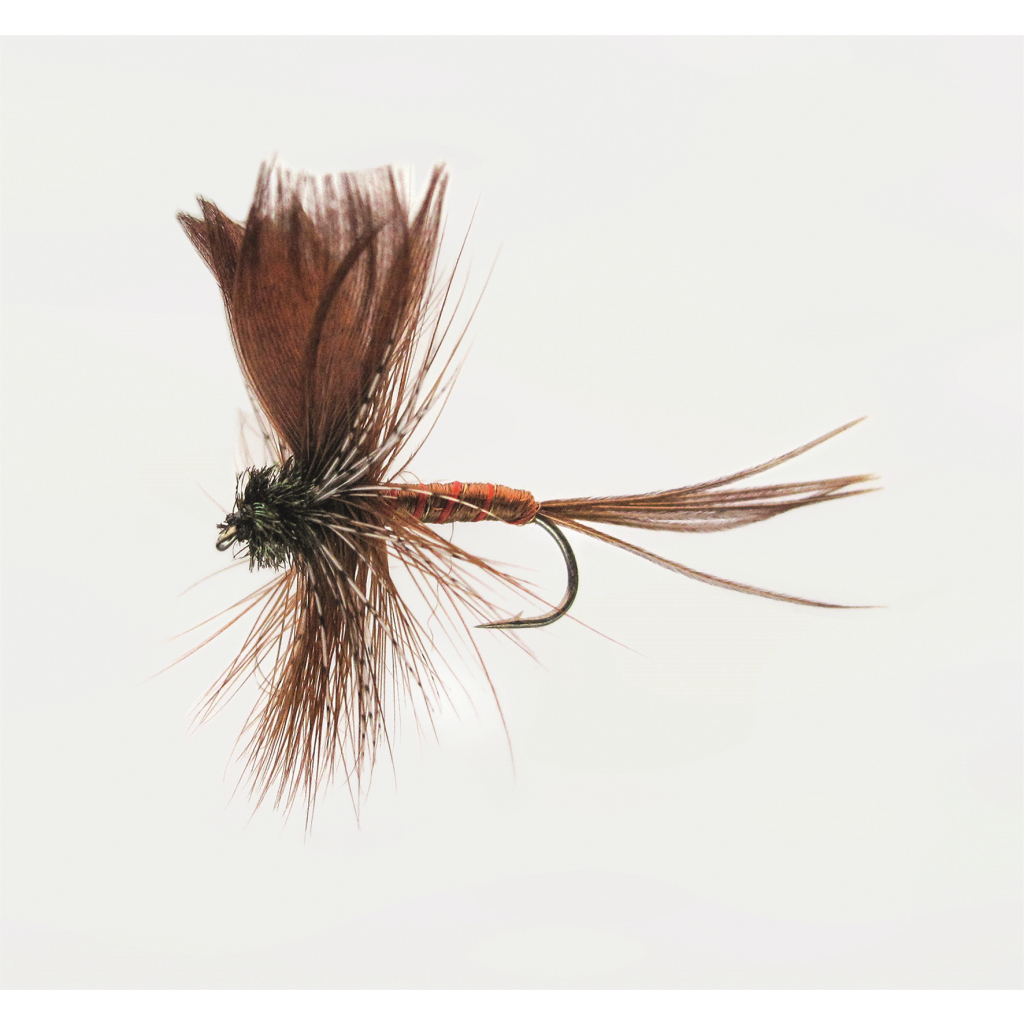 Trockenfl. 'mayfly Brown'