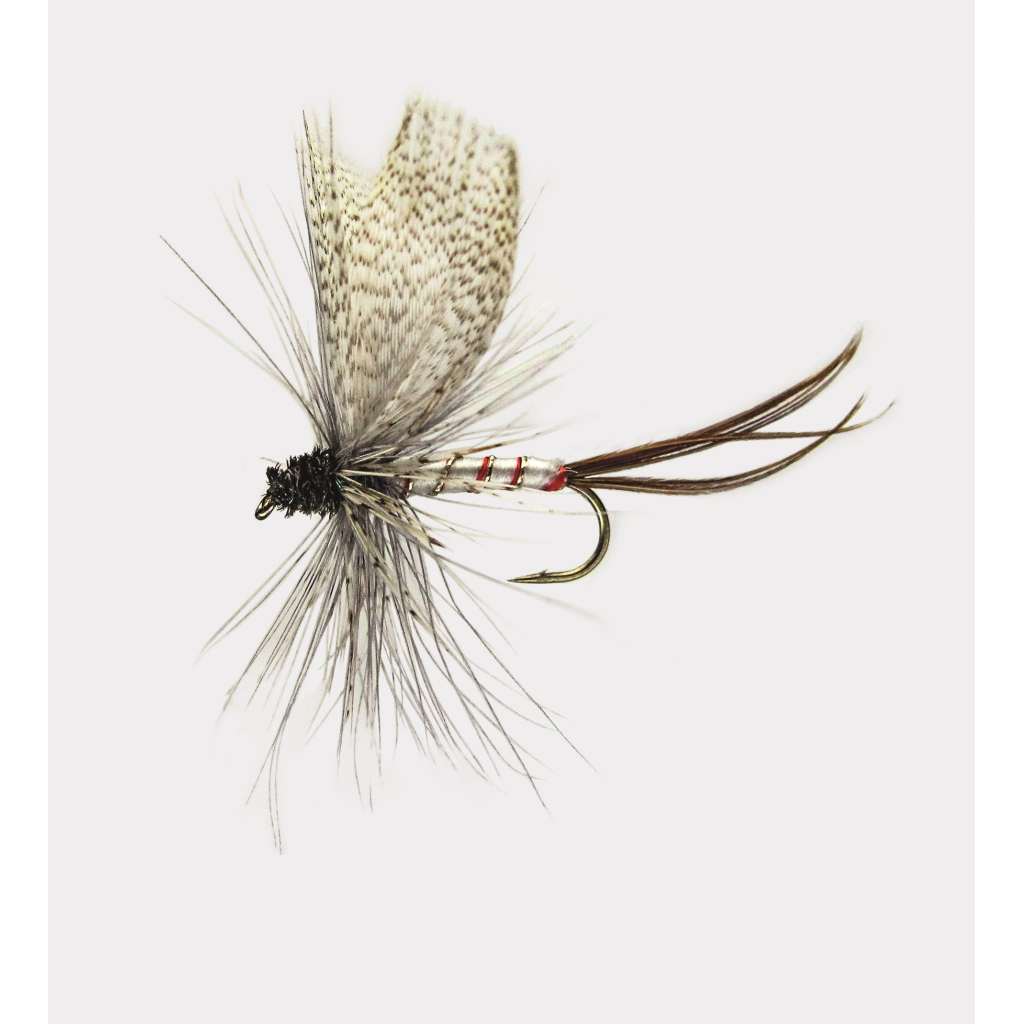 Trockenfl. 'mayfly Grey'