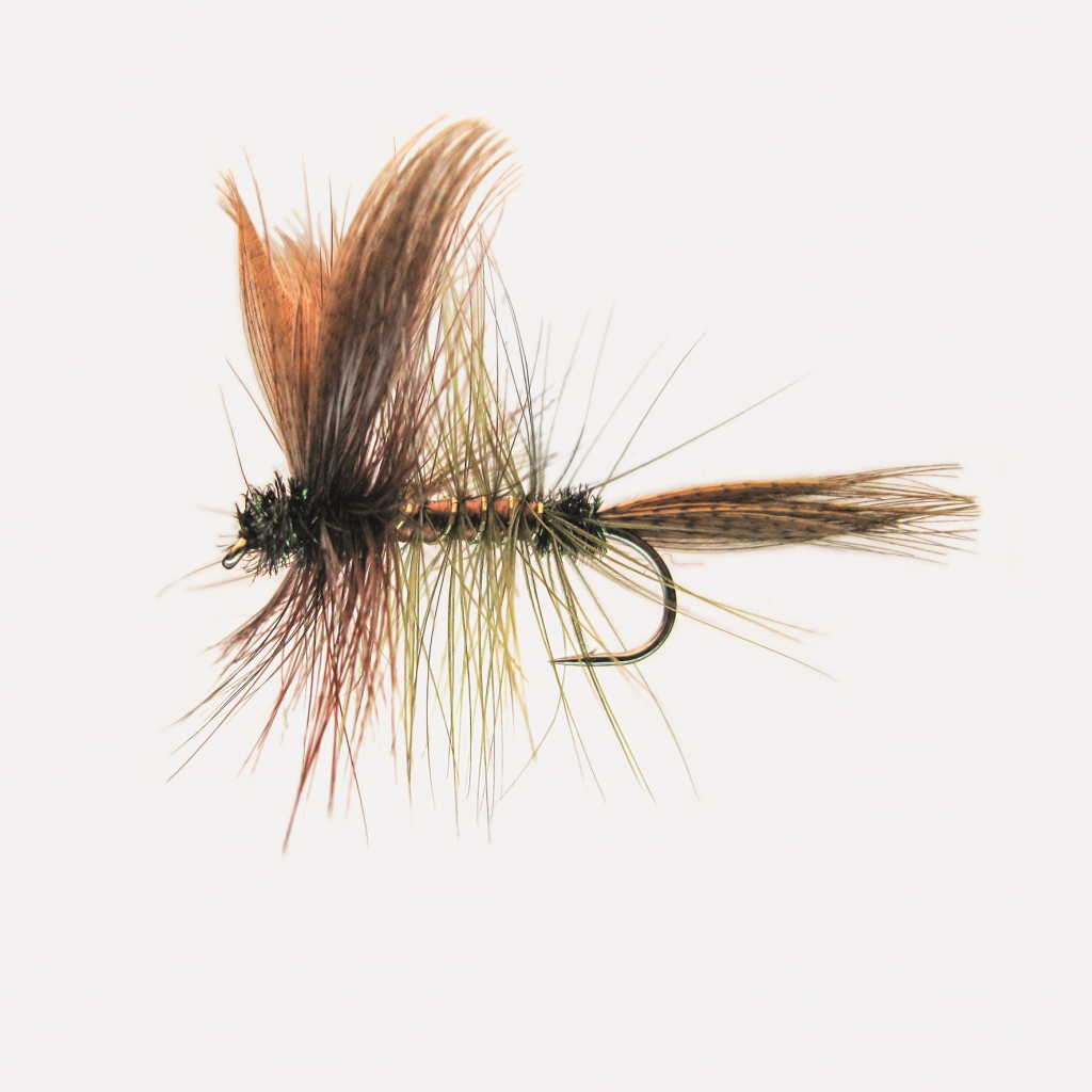 Trockenfl. 'mayfly Special'
