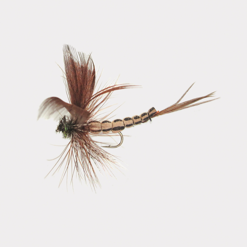 Trockenfl. 'cork-Mayfly Brown'