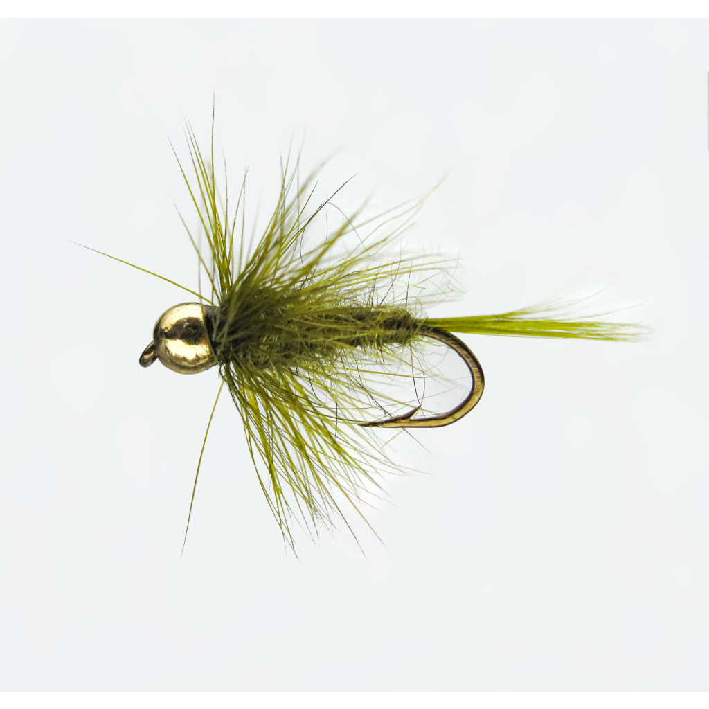 Nymphe Goldk. Olive 12