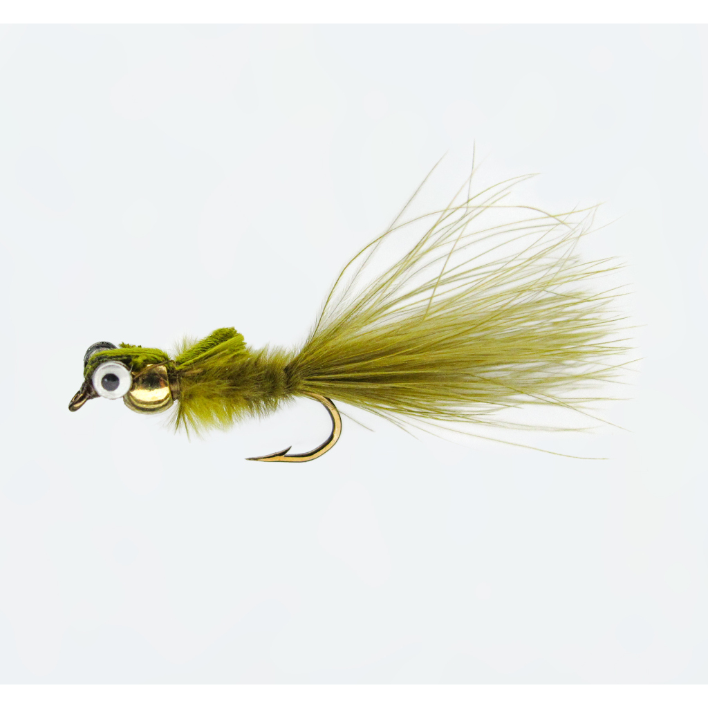 Nymphe Goldk. Mar.oliv 12