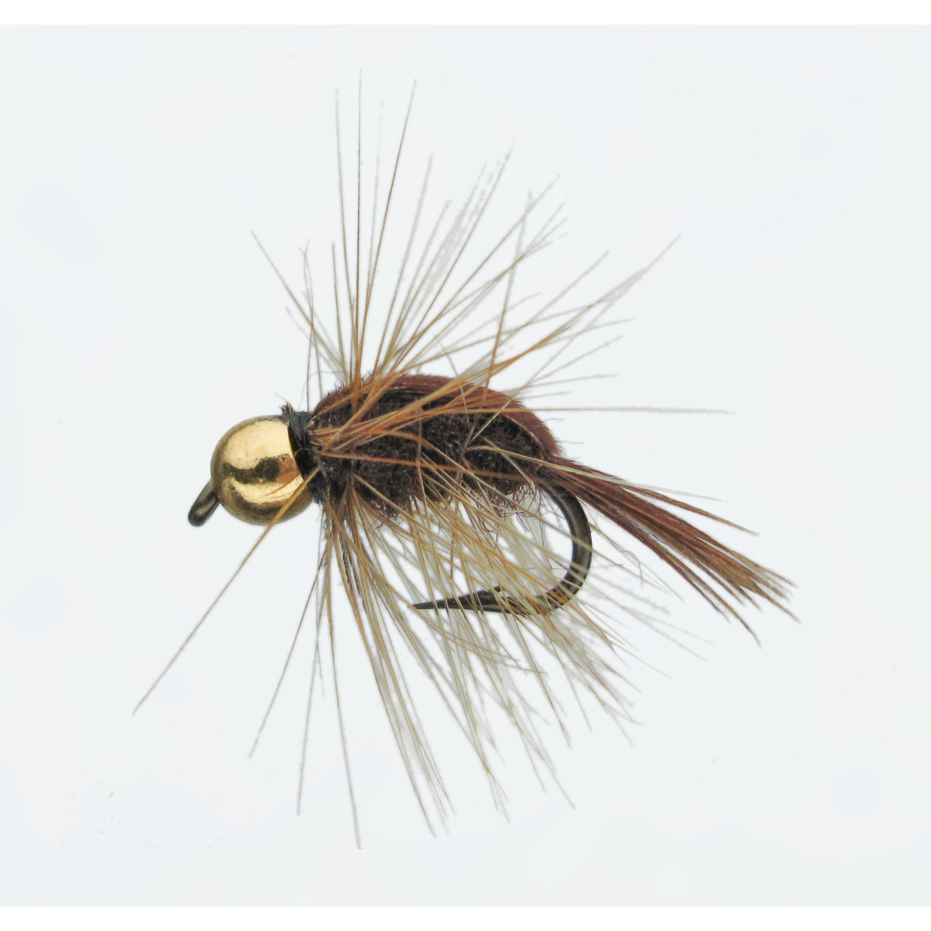 Nymphe Goldk. Shrimp 14
