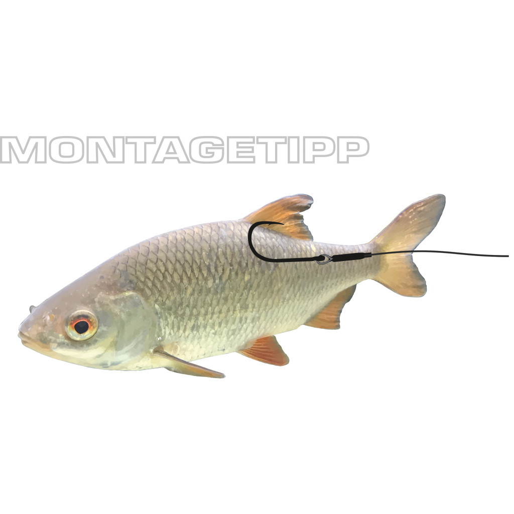 Single-Hook Float Rig 7x7  1