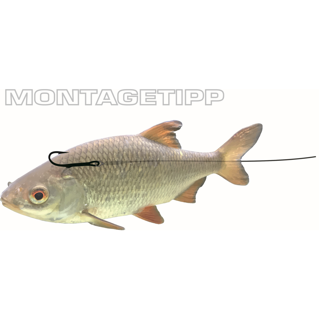 Ryder-Hook Float Rig 7x7  6