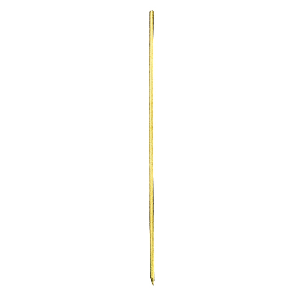 Wurmnadel 2 St. SB.