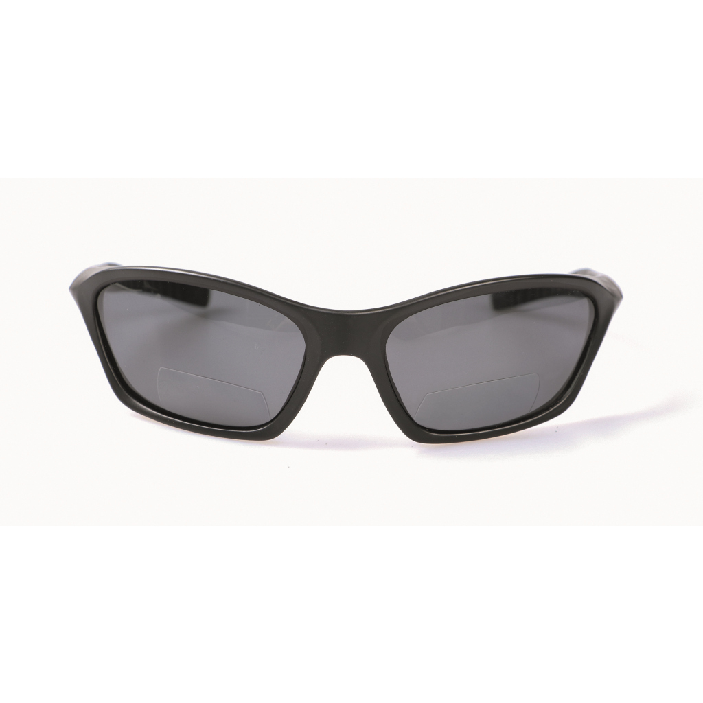 Polaris. Brille m.Lesefeld 2.0