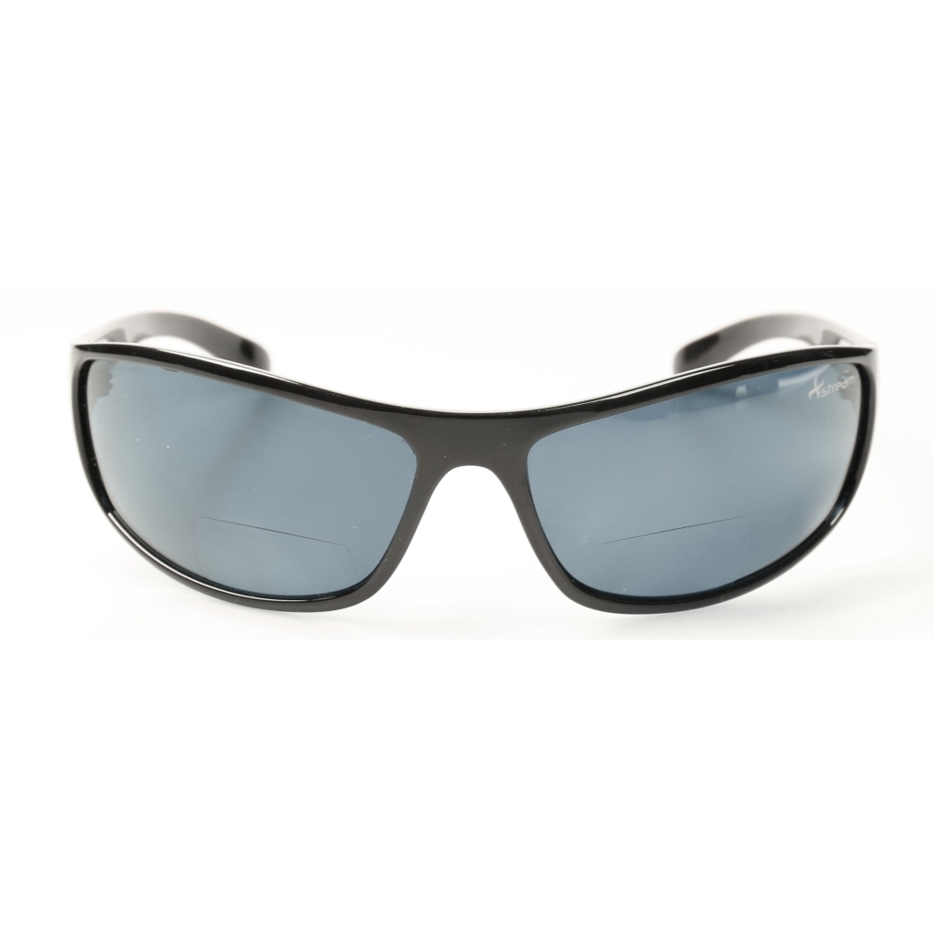 Polaris. Brille m.Lesefeld 2.0