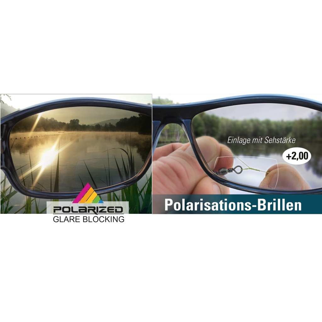 Polaris. Brille m.Lesefeld 2.0