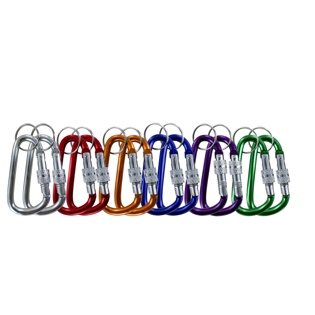 Karabiner mit Ring