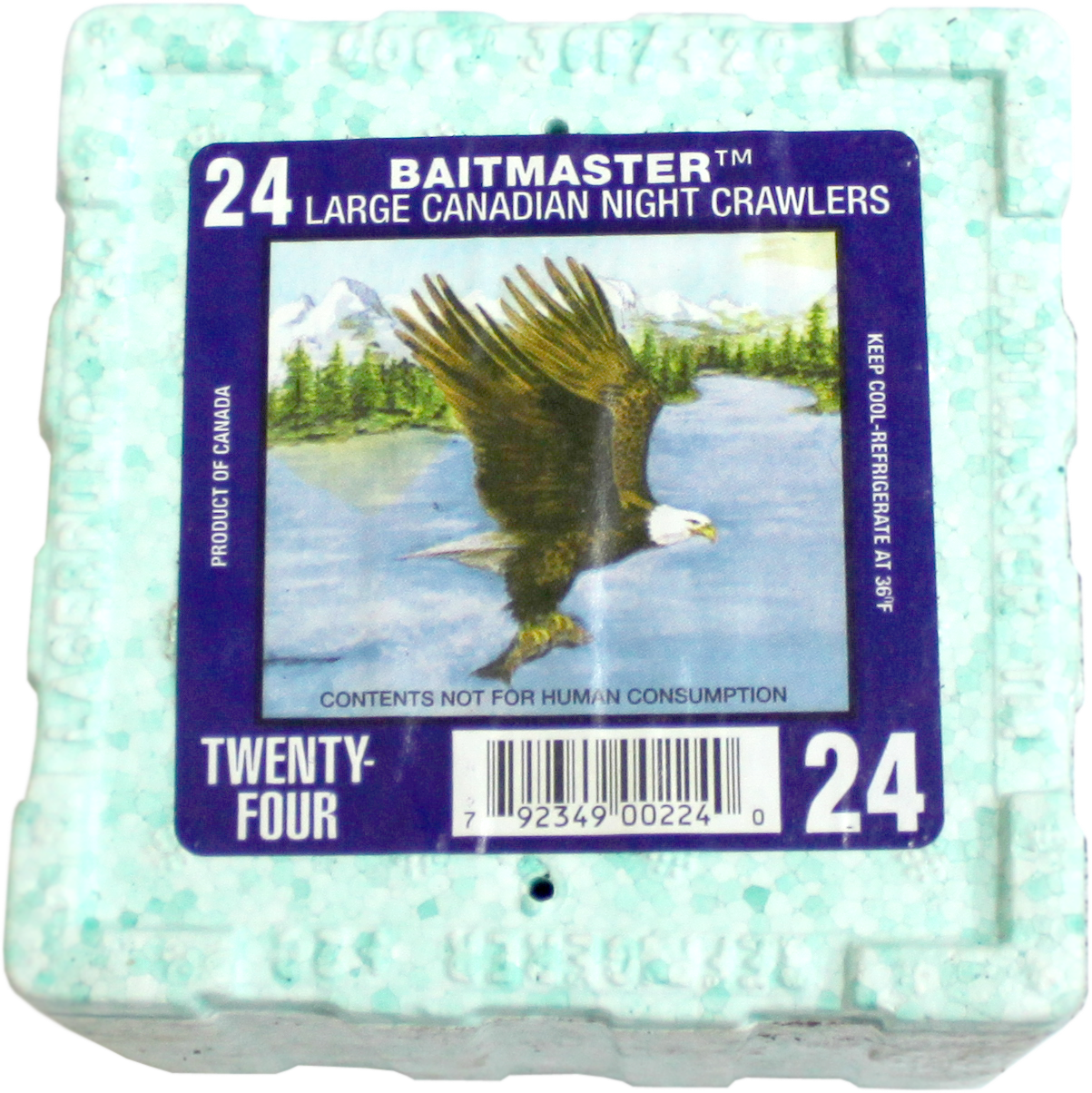 Tauwurm Inh. 24 Stk. NBC Thermobox