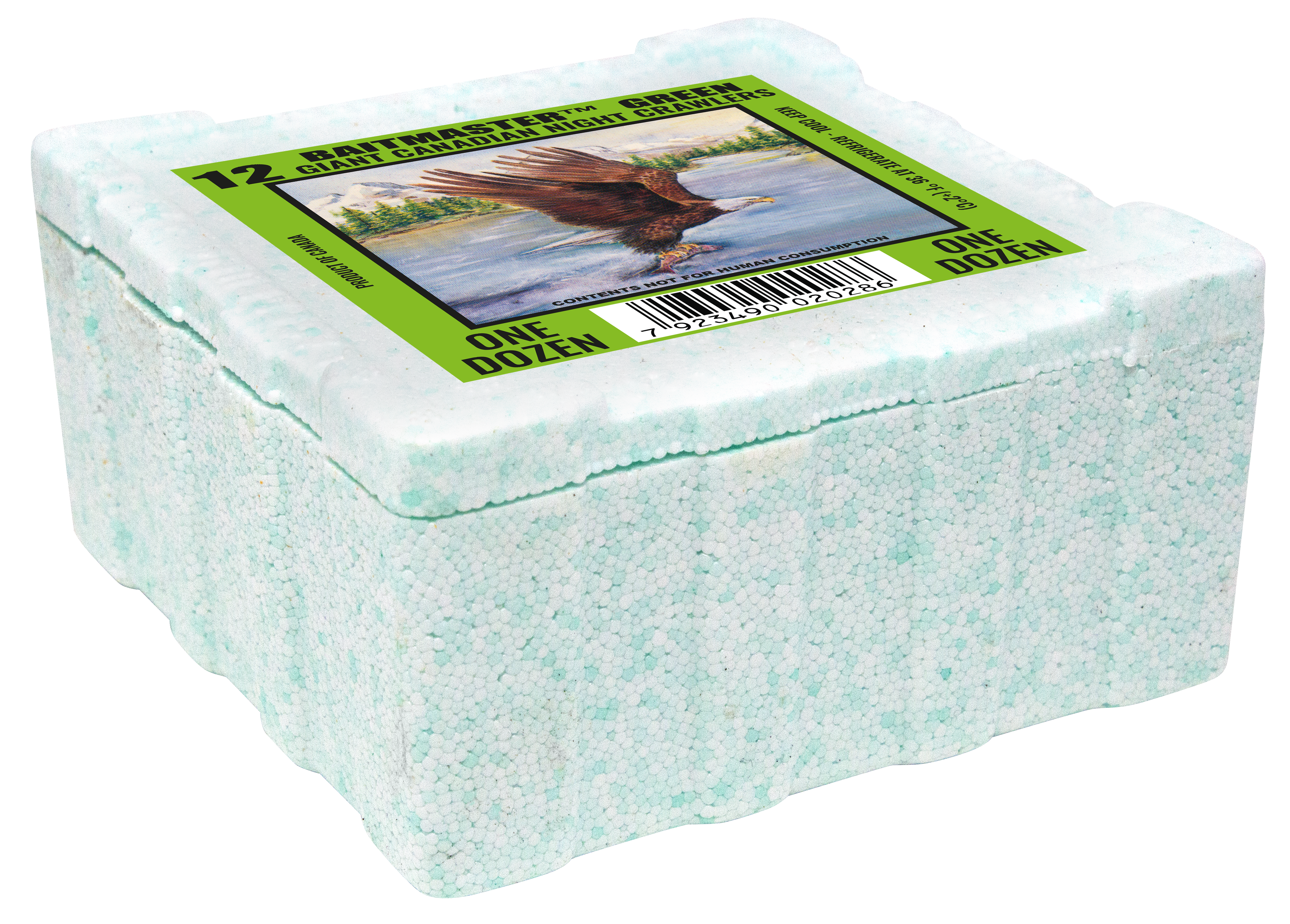 Tauwurm - GRÜN - Inh. 12 Stk. NBC Thermobox