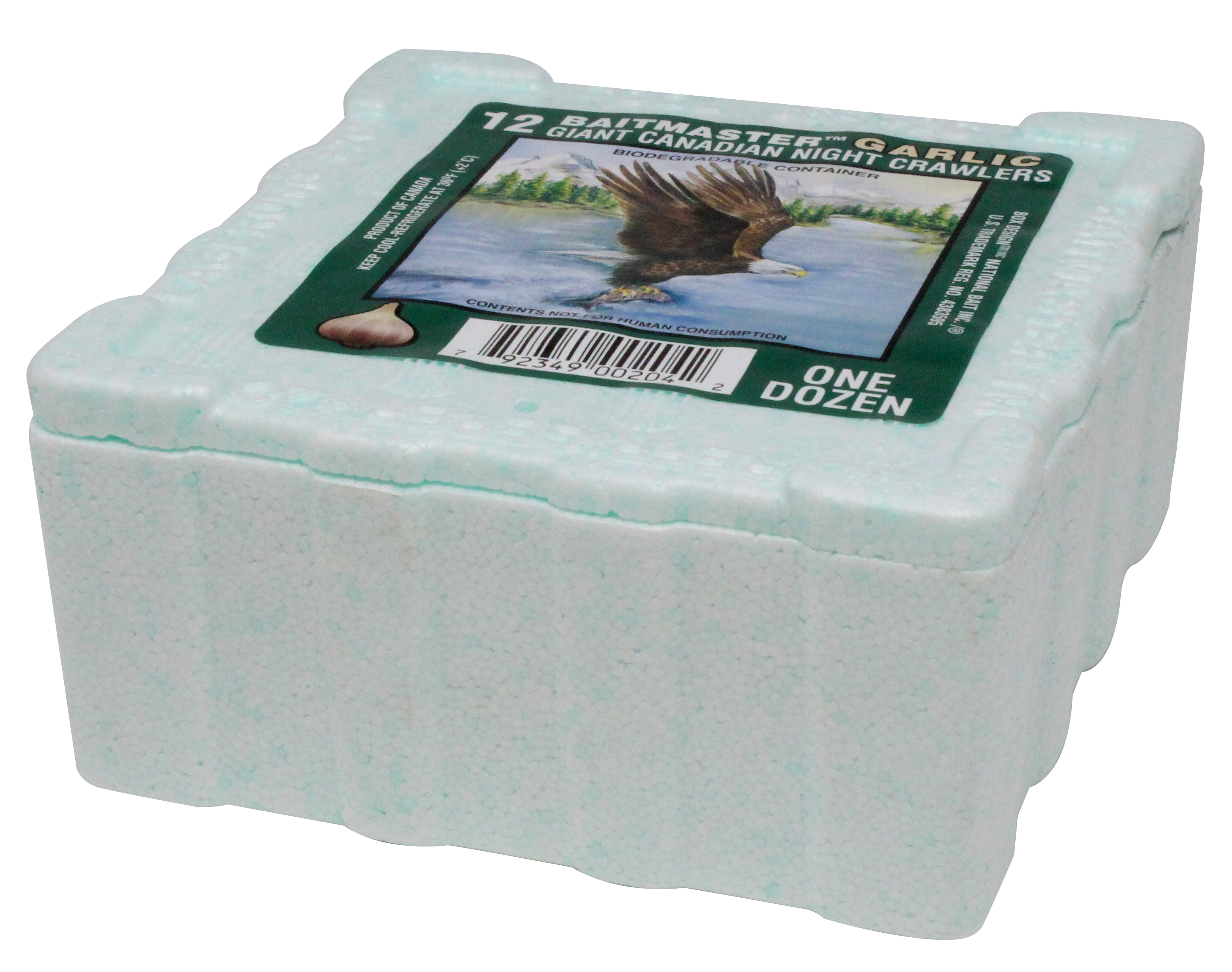 Tauwurm - KNOBLAUCH - Inh. 12 Stk. NBC Thermobox