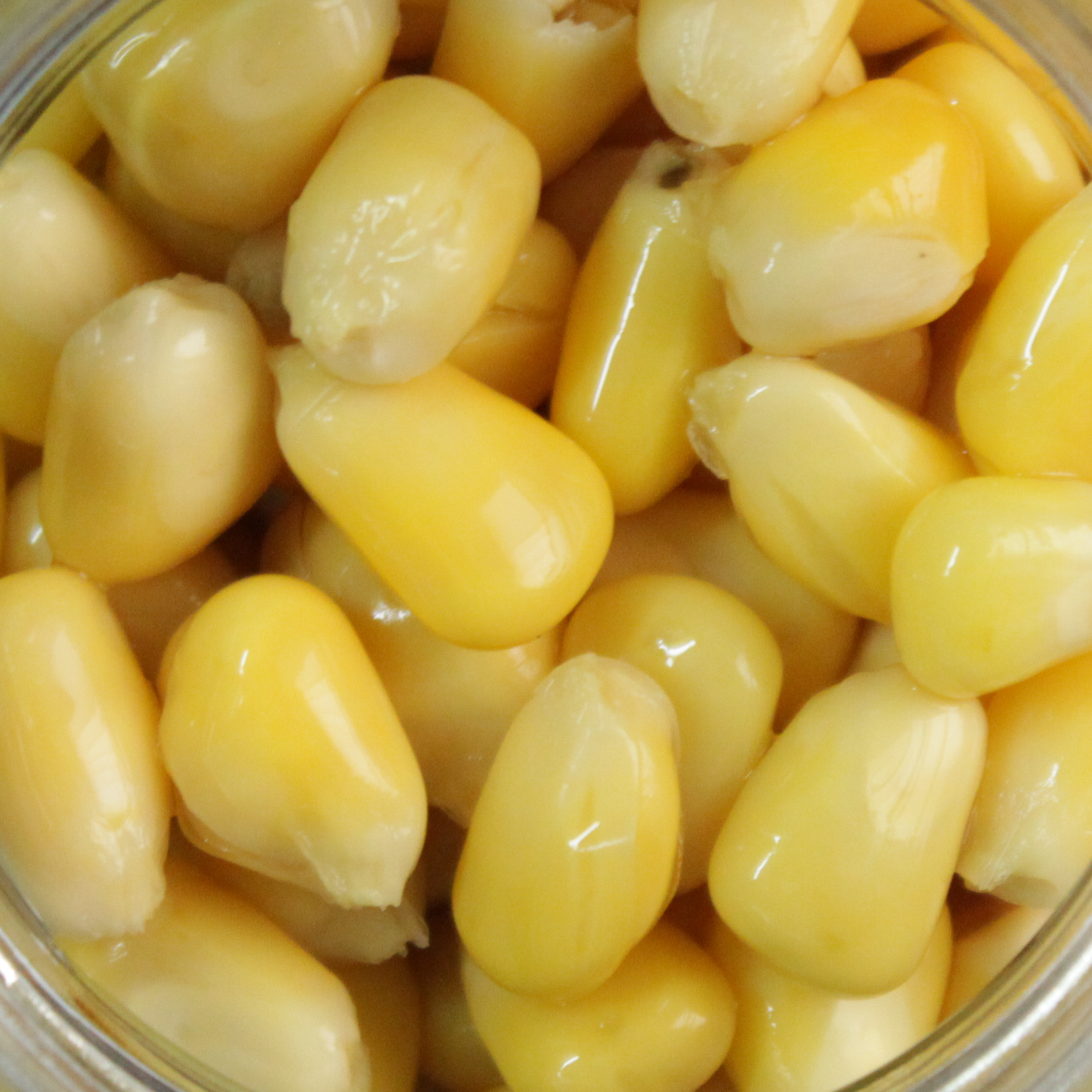 Cukk Angelmais neutral