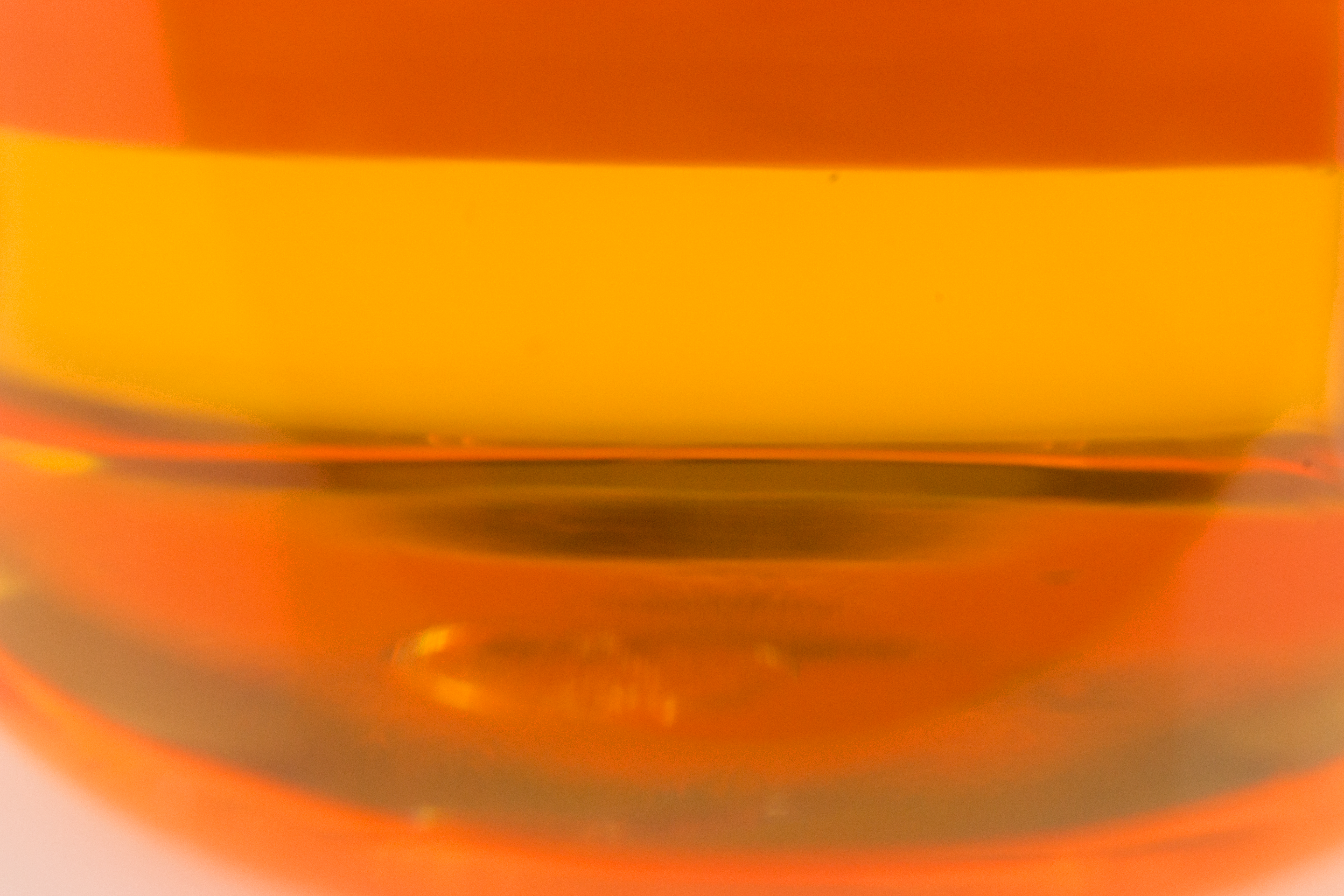 Leberöl 10 ml