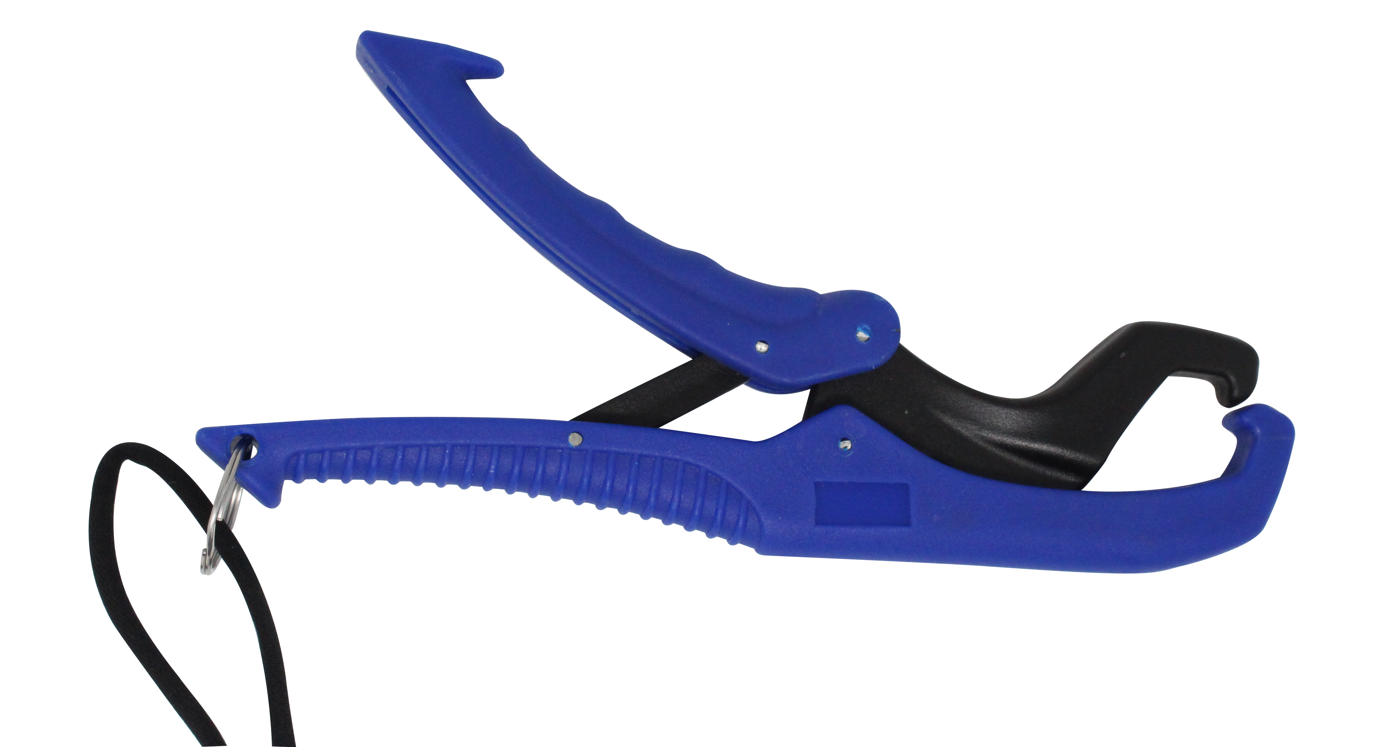 Fischgreifer