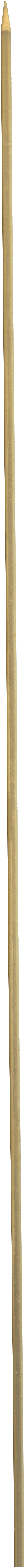 Wurmnadel 50 cm