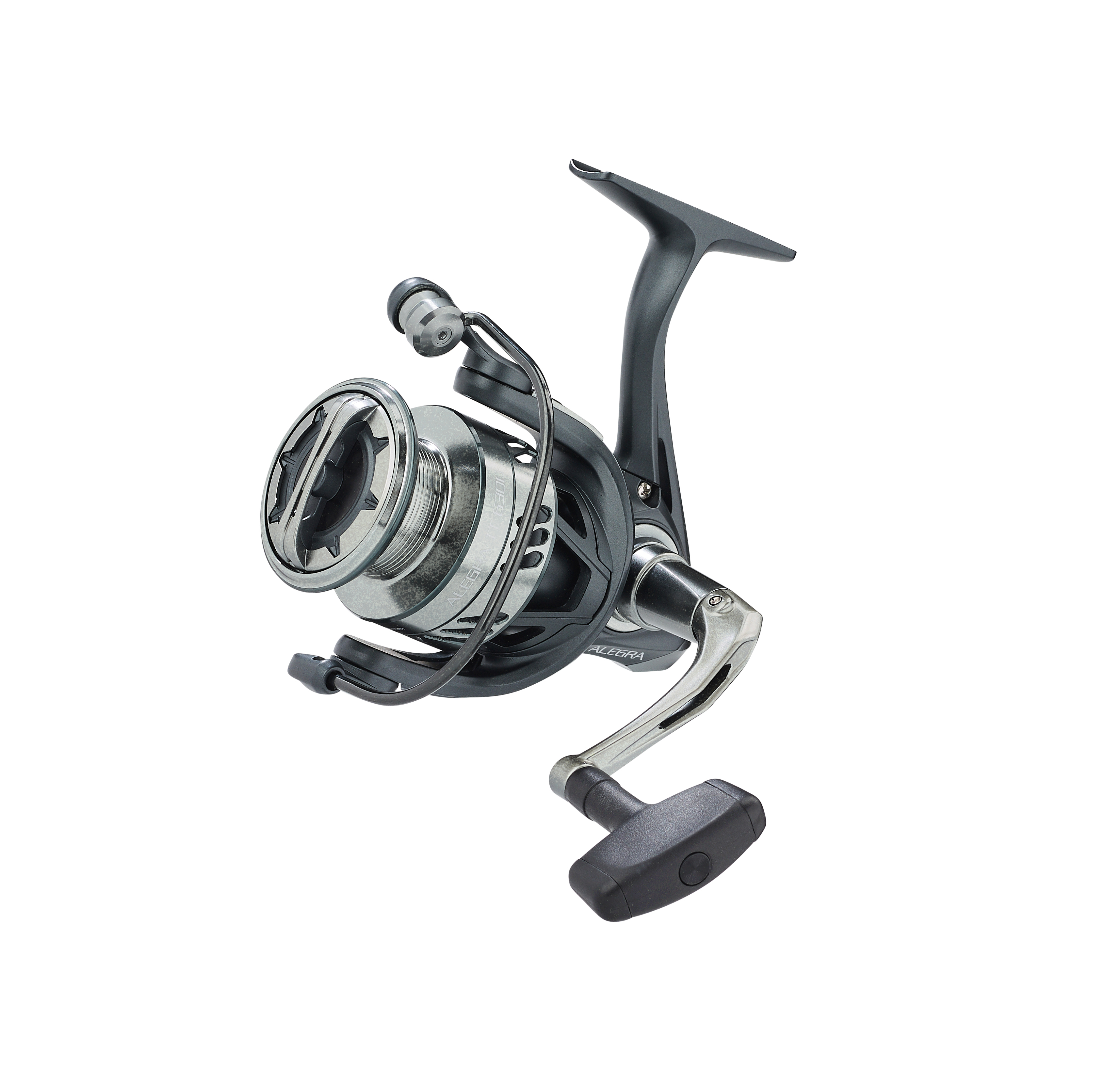 Alegra TT FD Display 20St.