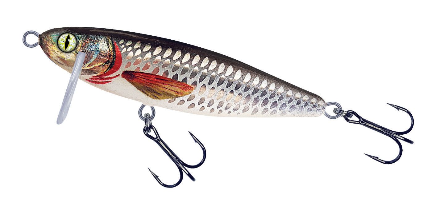 Shirasu Rapfen Roach 7cm