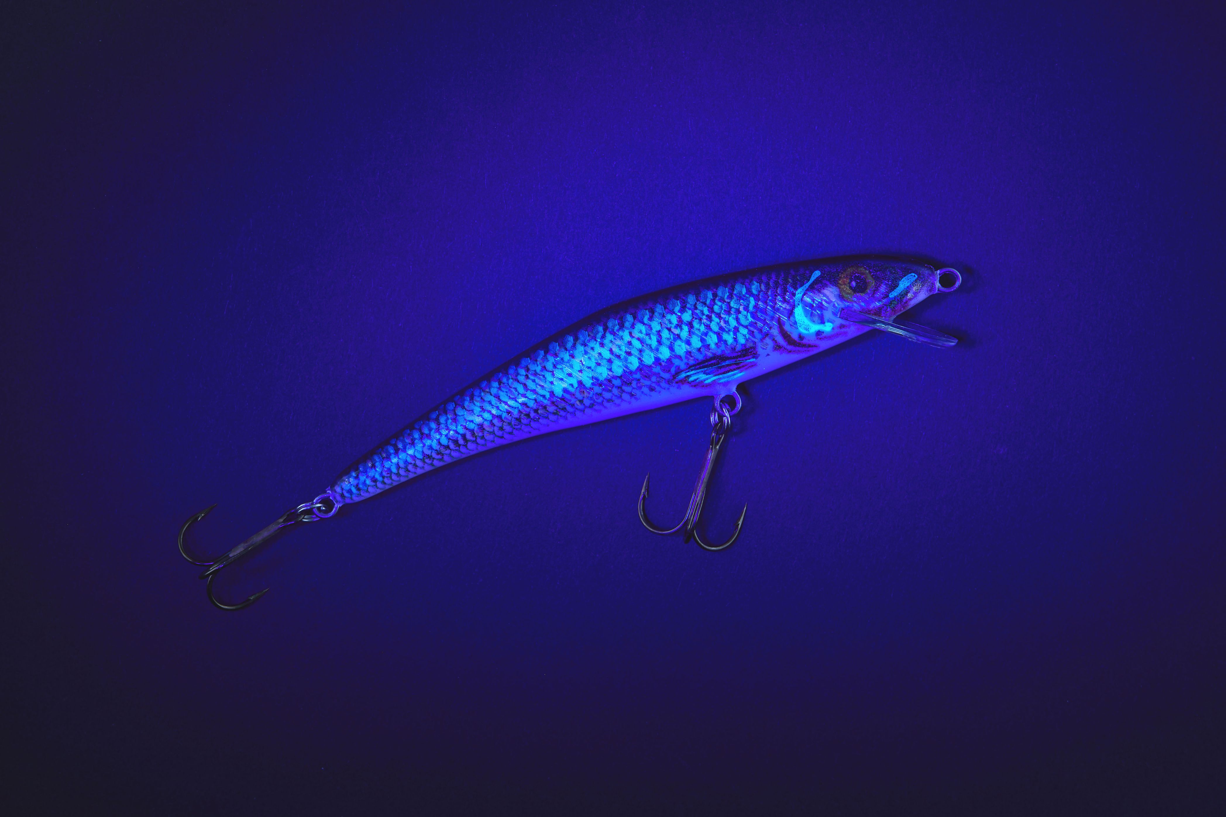 MK Adventure UV Booster NATURE Wobbler Shallow Runner Weißfisch 5cm