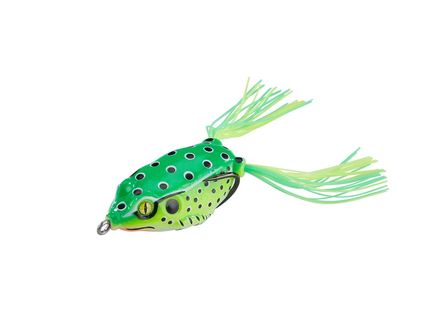 Killer Frog mit Fransen Green Flash