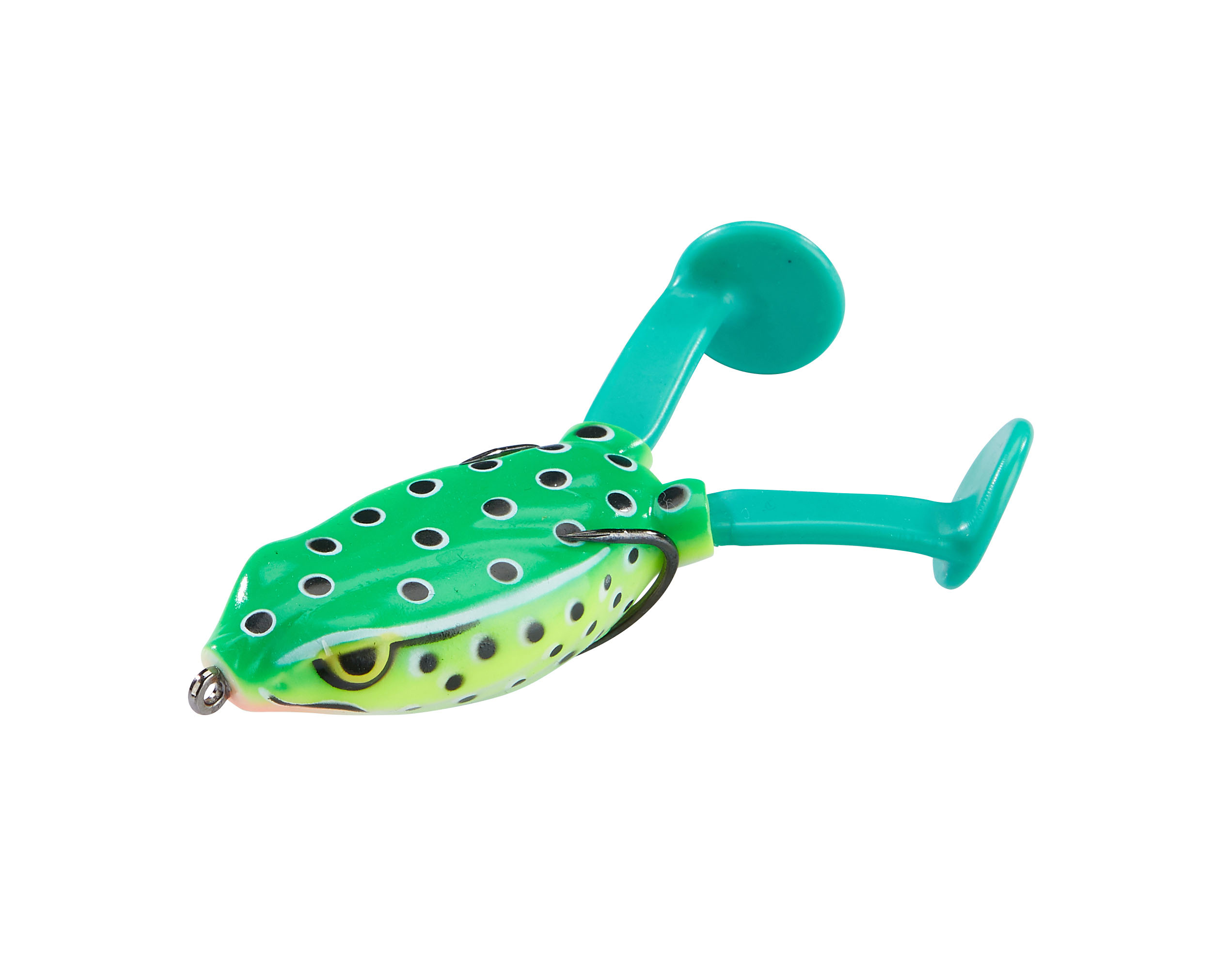 Paddle Frog Green Flash