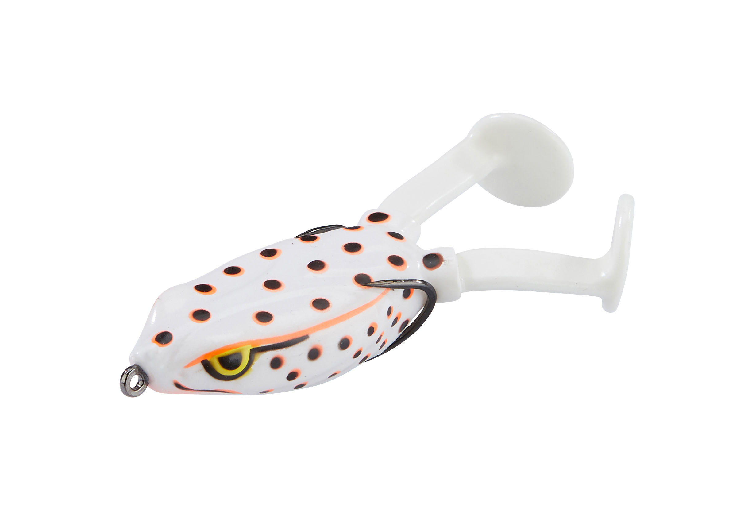 Paddle Frog Albino
