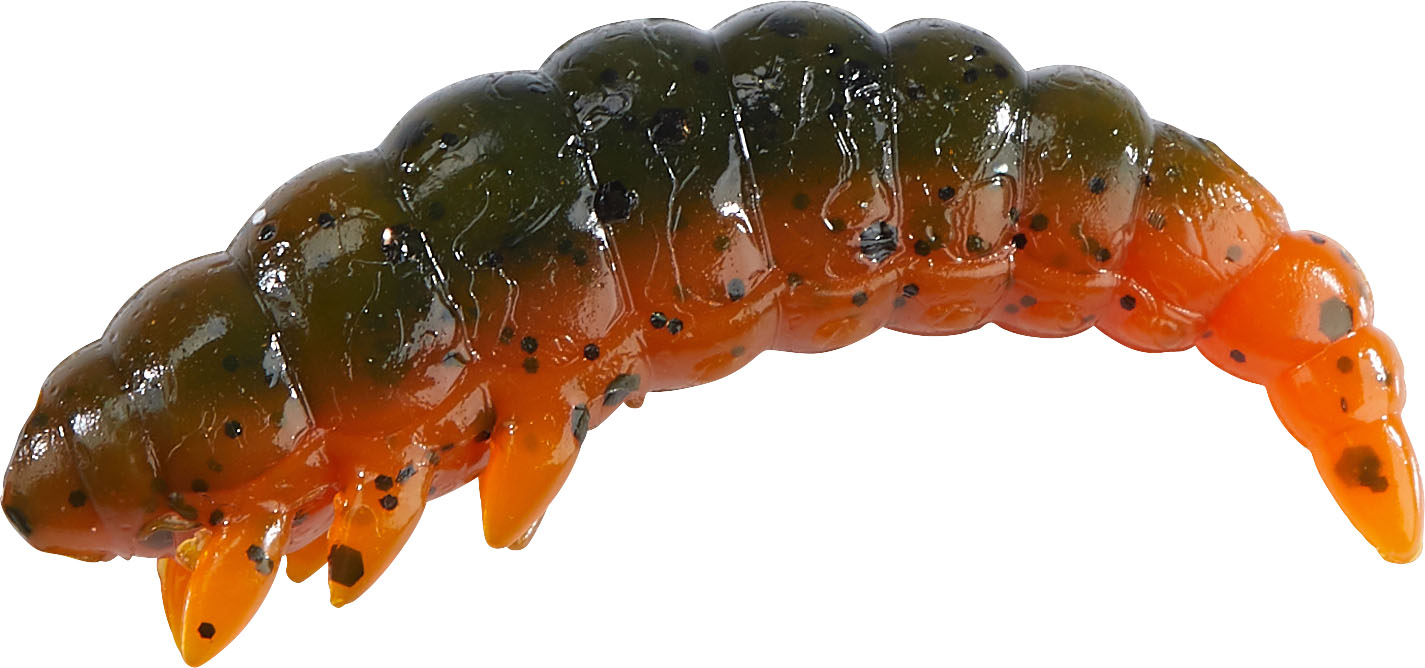 Bazillus Käse, 3cm, Green Pumpkin Amber red