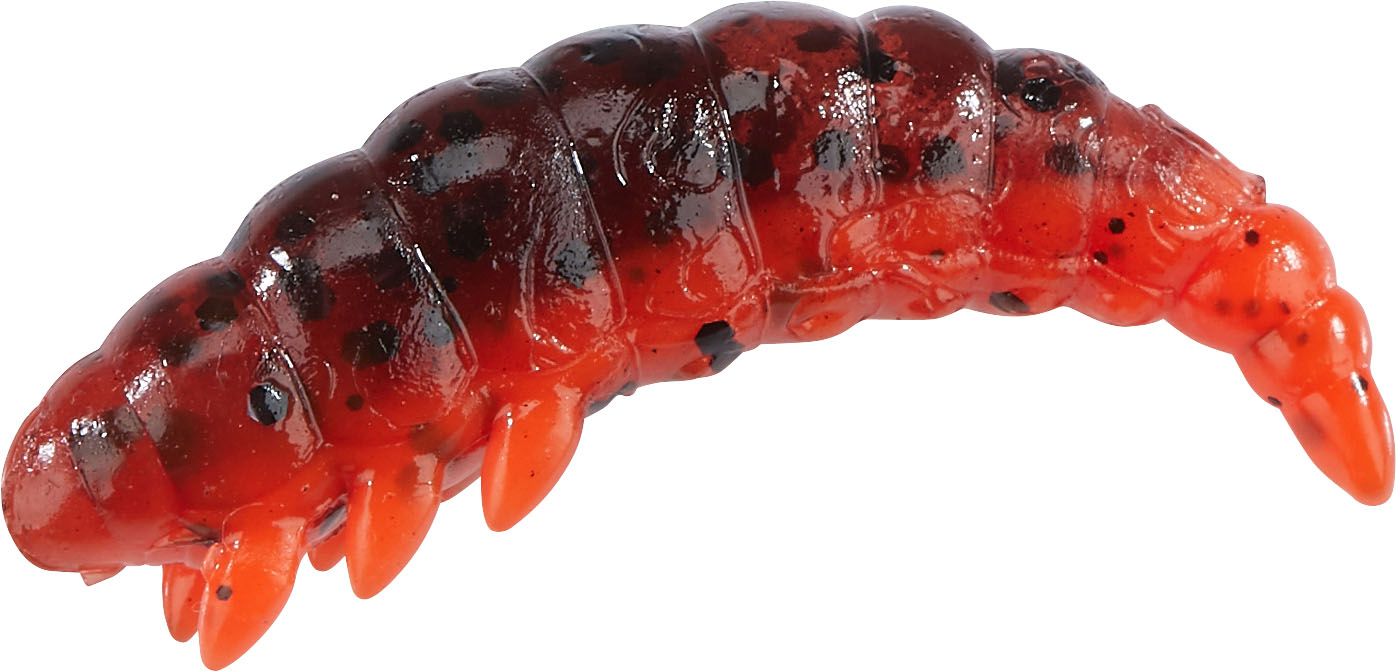 Bazillus Käse, 3cm, Hot Craw