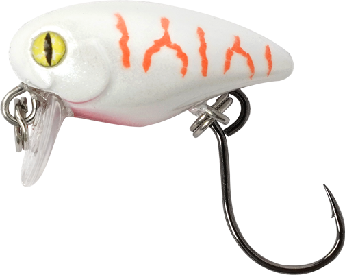Cherry, Albino