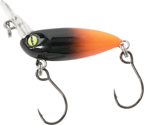 Billy Beetle, Orange-Schwarz
