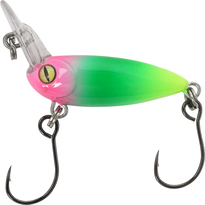 Billy Beetle, Pink-Grün-Gelb