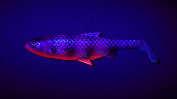 Fake Shad Blueberry 10cm