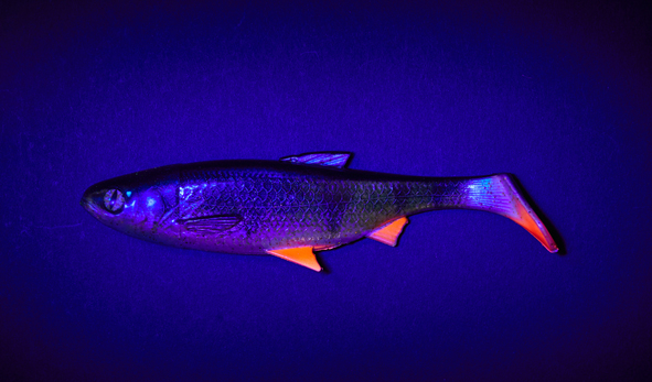 Fake Shad Barsch 13cm