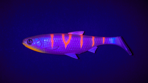 Fake Shad Striped Albino 13cm