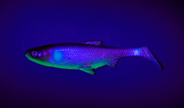 Fake Shad Mysterious 13cm