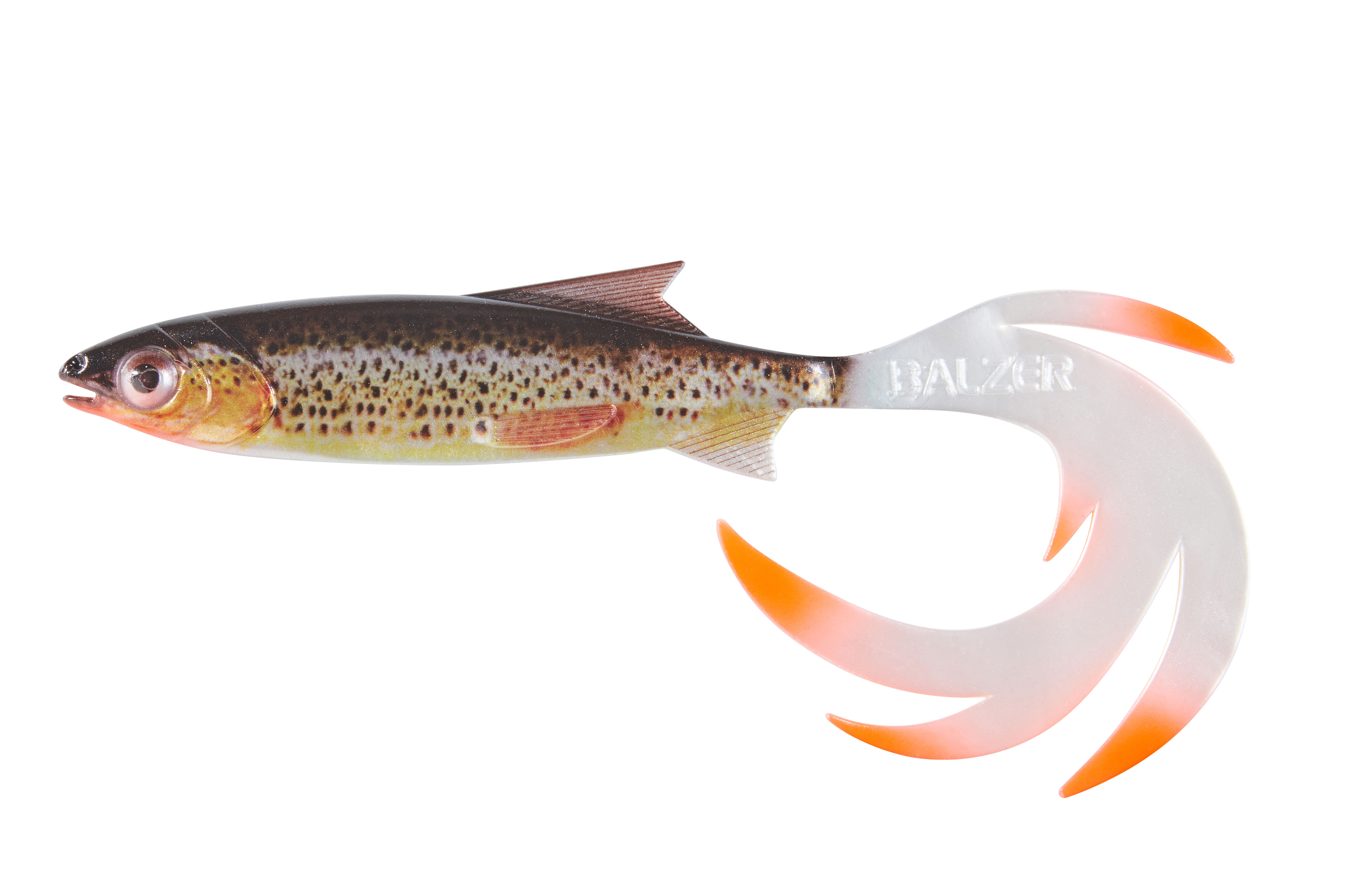 Shirasu Reptile Shad Print Bachforelle 19cm