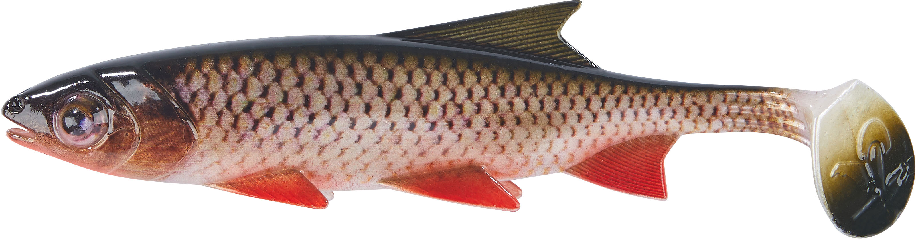 Clone Shad Döbel 18cm
