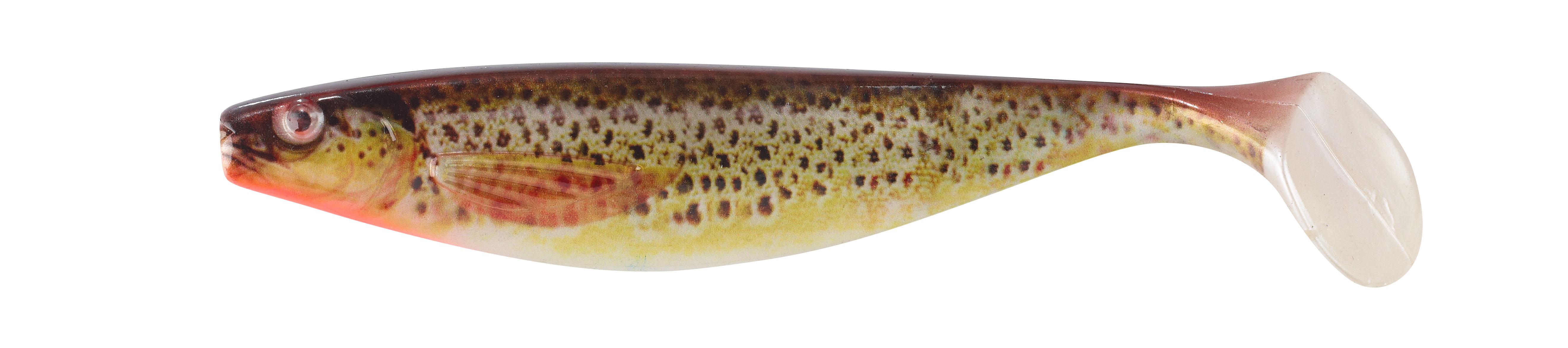 Shirasu Photo Print Shad 3D Bachforelle 17cm
