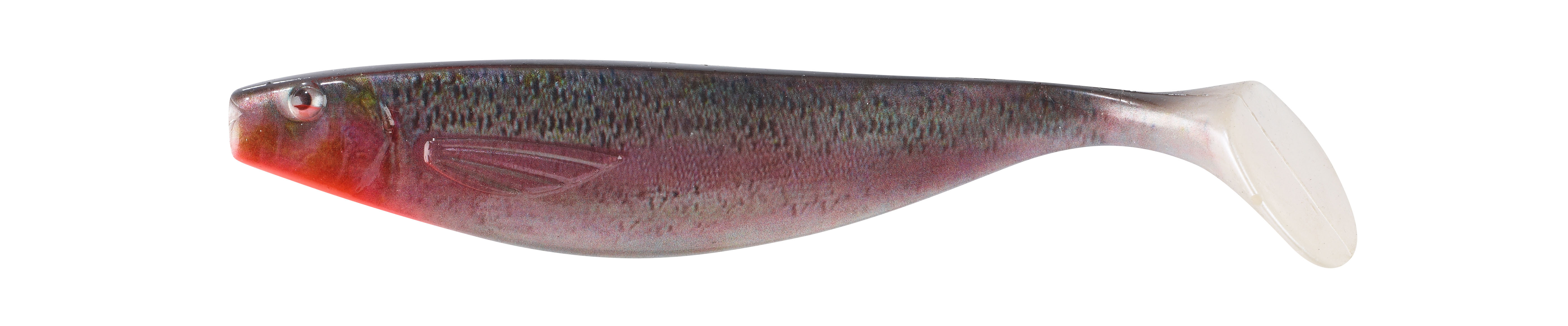 Shirasu Photo Print Shad 3D Regenbogenforelle 13cm