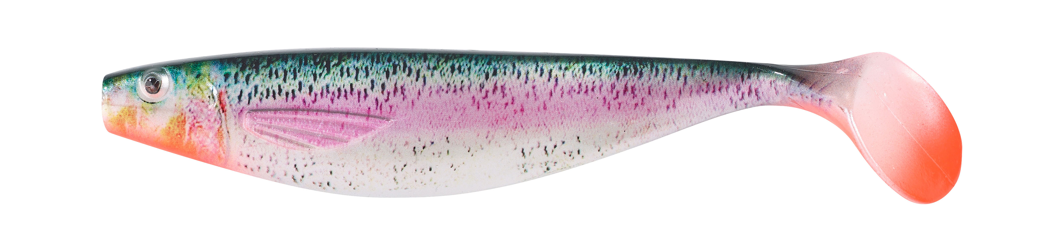 Shirasu Photo Print Shad 3D Bloody Tail Regenbogenforelle 13cm